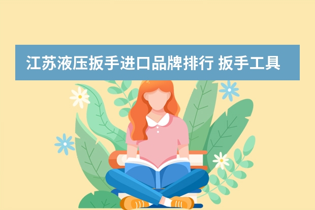 江苏液压扳手进口品牌排行 扳手工具品牌排行榜