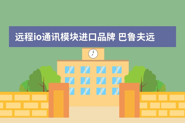 远程io通讯模块进口品牌 巴鲁夫远程io模块port上的0和1代表什么