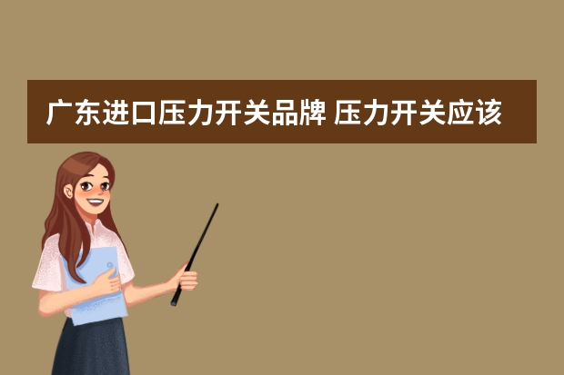 广东进口压力开关品牌 压力开关应该如何选购电器开关品牌有哪些