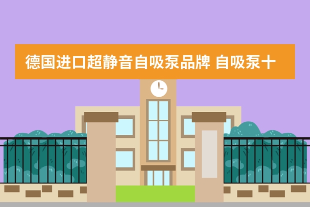 德国进口超静音自吸泵品牌 自吸泵十大品牌排行榜?