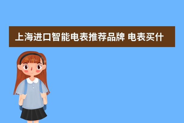 上海进口智能电表推荐品牌 电表买什么好