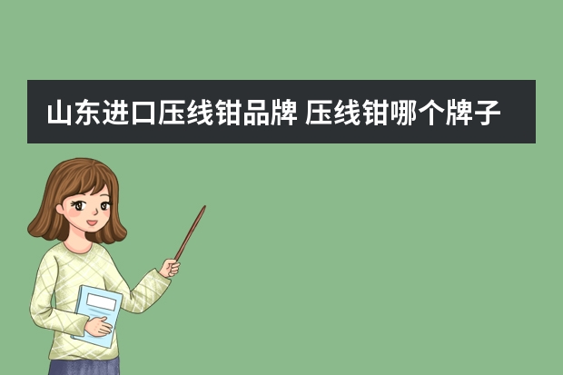 山东进口压线钳品牌 压线钳哪个牌子好？压线钳使用方法介绍