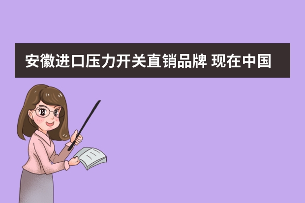 安徽进口压力开关直销品牌 现在中国仪器仪表（压变，温变，流量计）都什么品牌的好一些？广告勿扰！