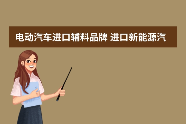 电动汽车进口辅料品牌 进口新能源汽车有哪些