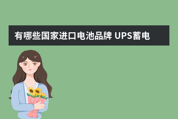 有哪些国家进口电池品牌 UPS蓄电池有哪些知名品牌？