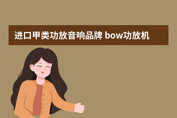 进口甲类功放音响品牌 bow功放机是什么品牌