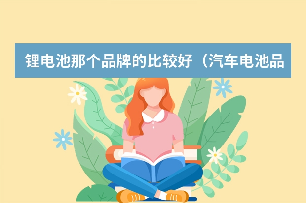 锂电池那个品牌的比较好（汽车电池品牌 十大品牌推荐给你）