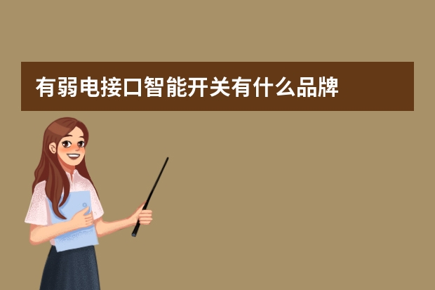 有弱电接口智能开关有什么品牌