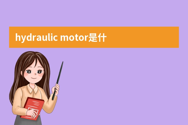 hydraulic motor是什么牌子