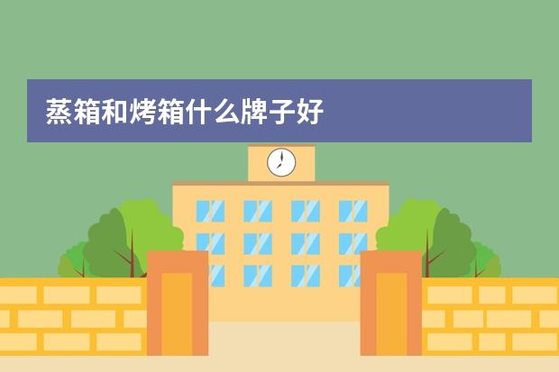 蒸箱和烤箱什么牌子好