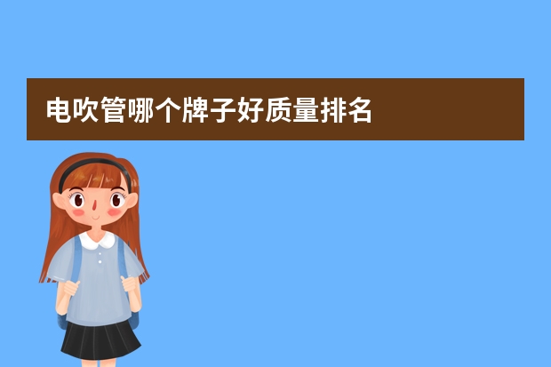 电吹管哪个牌子好质量排名