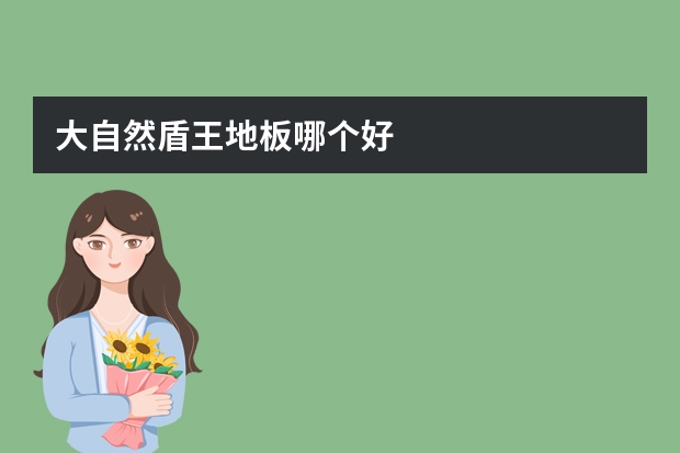 大自然盾王地板哪个好