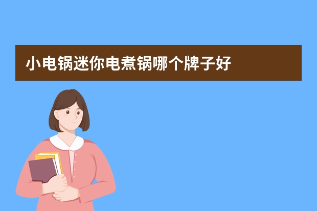 小电锅迷你电煮锅哪个牌子好