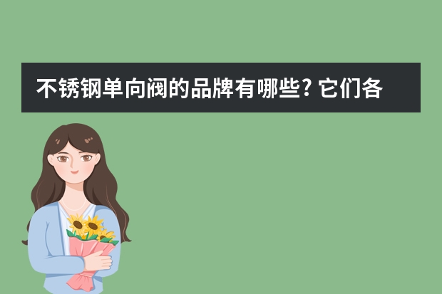 不锈钢单向阀的品牌有哪些? 它们各有哪些特点?