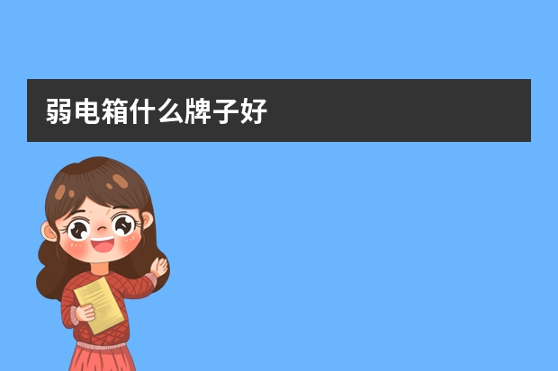 弱电箱什么牌子好