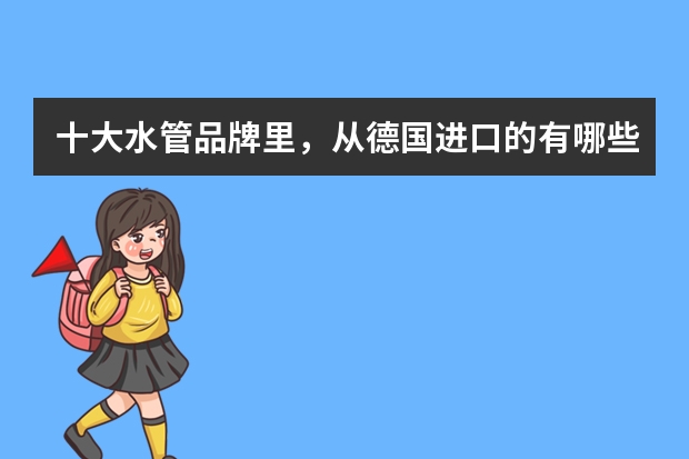 十大水管品牌里，从德国进口的有哪些