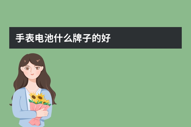 手表电池什么牌子的好