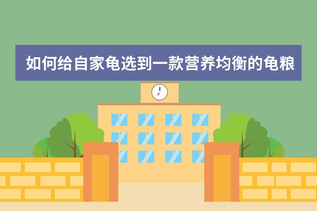 如何给自家龟选到一款营养均衡的龟粮？可以推荐几款吗？