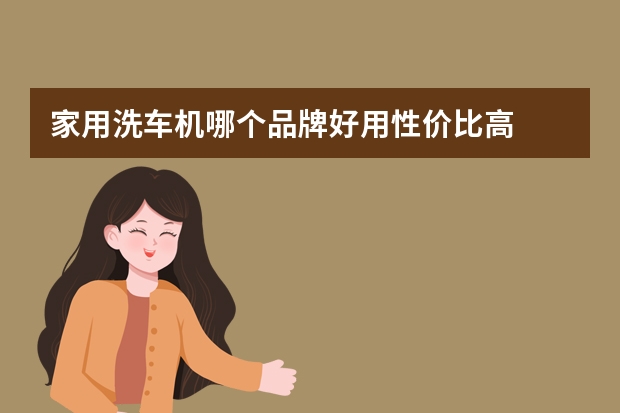 家用洗车机哪个品牌好用性价比高