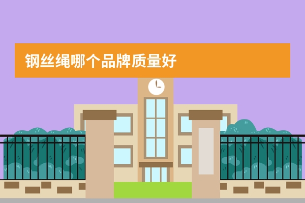 钢丝绳哪个品牌质量好