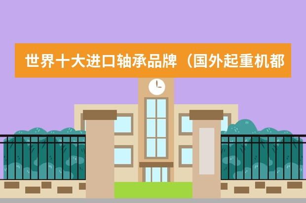 世界十大进口轴承品牌（国外起重机都有那些品牌）
