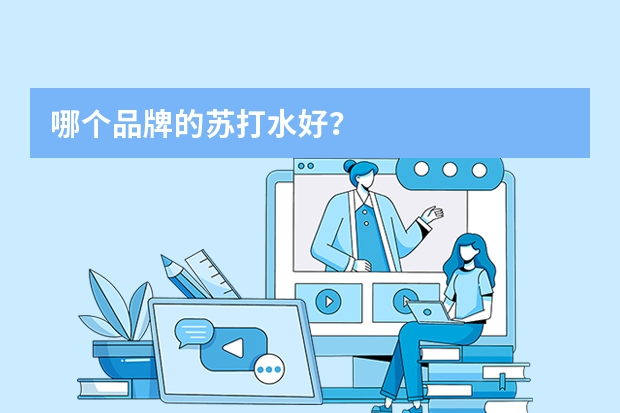 哪个品牌的苏打水好？