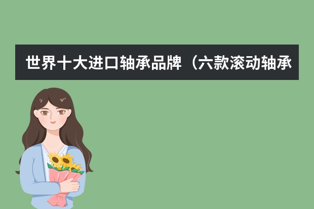 世界十大进口轴承品牌（六款滚动轴承价格及其产品信息介绍）