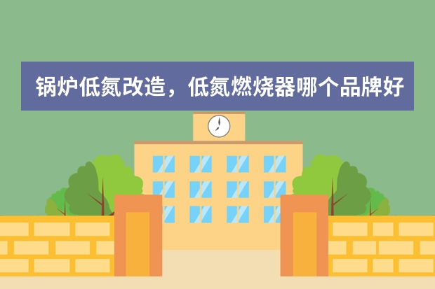 锅炉低氮改造，低氮燃烧器哪个品牌好