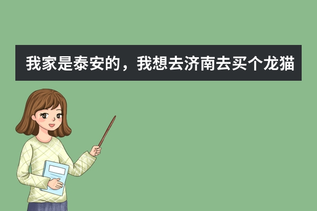 我家是泰安的，我想去济南去买个龙猫，龙猫的食物什么的是不是要多买一点？