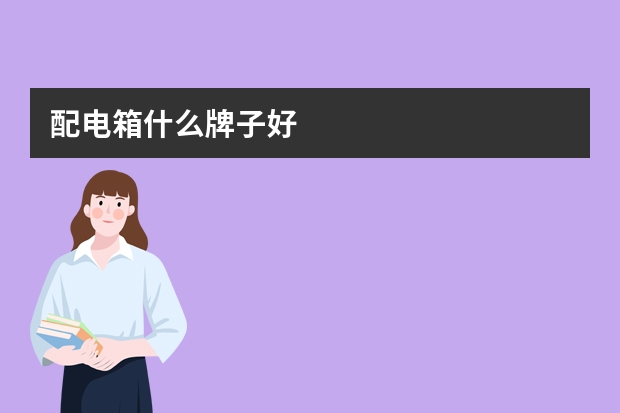 配电箱什么牌子好