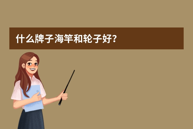 什么牌子海竿和轮子好？