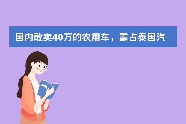 国内敢卖40万的农用车，霸占泰国汽车市场，白菜价供不应求 进口汽车车标图片名称