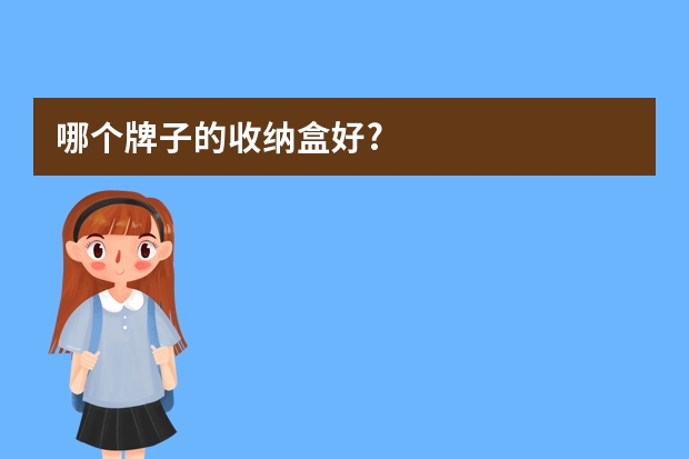 哪个牌子的收纳盒好?