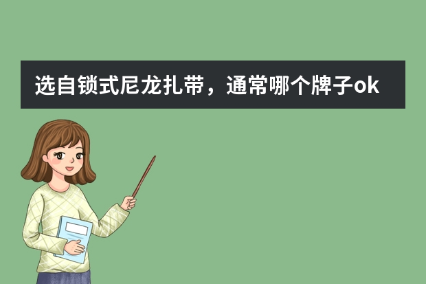 选自锁式尼龙扎带，通常哪个牌子ok？