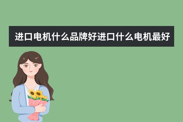 进口电机什么品牌好进口什么电机最好