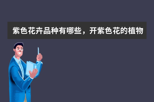 紫色花卉品种有哪些，开紫色花的植物名称大全及图片