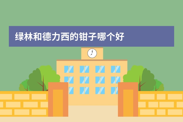 绿林和德力西的钳子哪个好