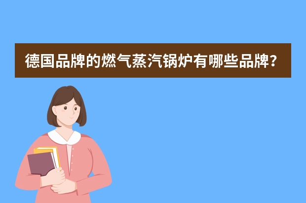 德国品牌的燃气蒸汽锅炉有哪些品牌？（用于工业用气的锅炉）