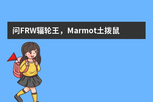 问FRW辐轮王，Marmot土拨鼠,Tyrell泰勒等全世界10大顶级进口的第一碳纤维山地自行车品牌选什么牌子好？