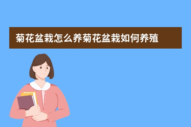 菊花盆栽怎么养菊花盆栽如何养殖