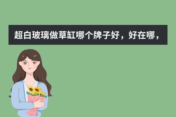 超白玻璃做草缸哪个牌子好，好在哪，和别的有什么区别？