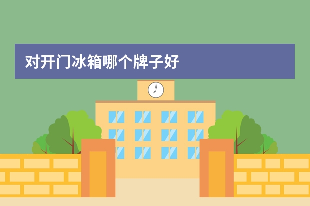 对开门冰箱哪个牌子好