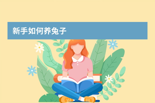 新手如何养兔子