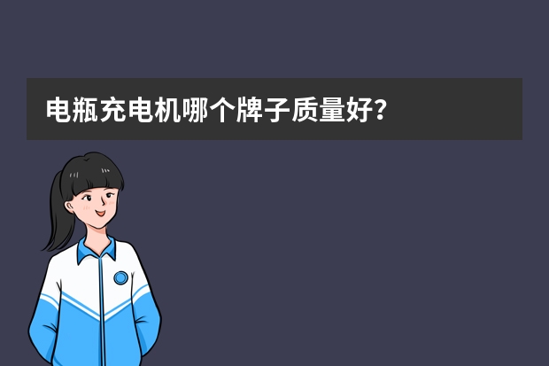 电瓶充电机哪个牌子质量好？