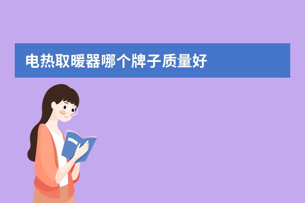 电热取暖器哪个牌子质量好