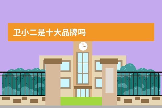 卫小二是十大品牌吗