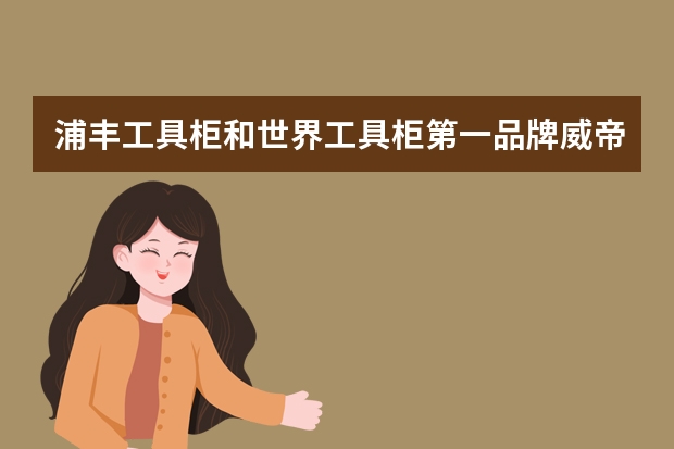 浦丰工具柜和世界工具柜第一品牌威帝玛是什么关系？