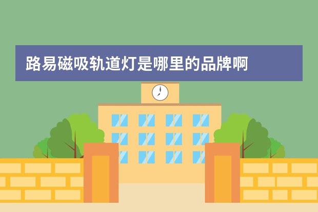 路易磁吸轨道灯是哪里的品牌啊