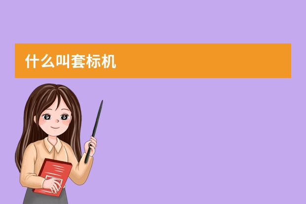 什么叫套标机
