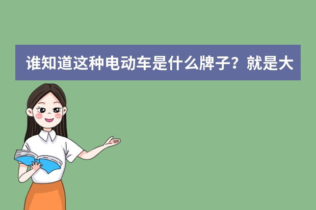 谁知道这种电动车是什么牌子？就是大街上也有人骑，粉色，黄色，白色，很卡通的，有一点像摩托